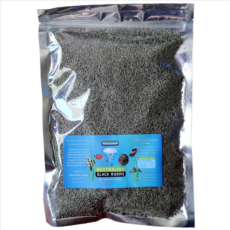 Australian Black Worms (Loose)