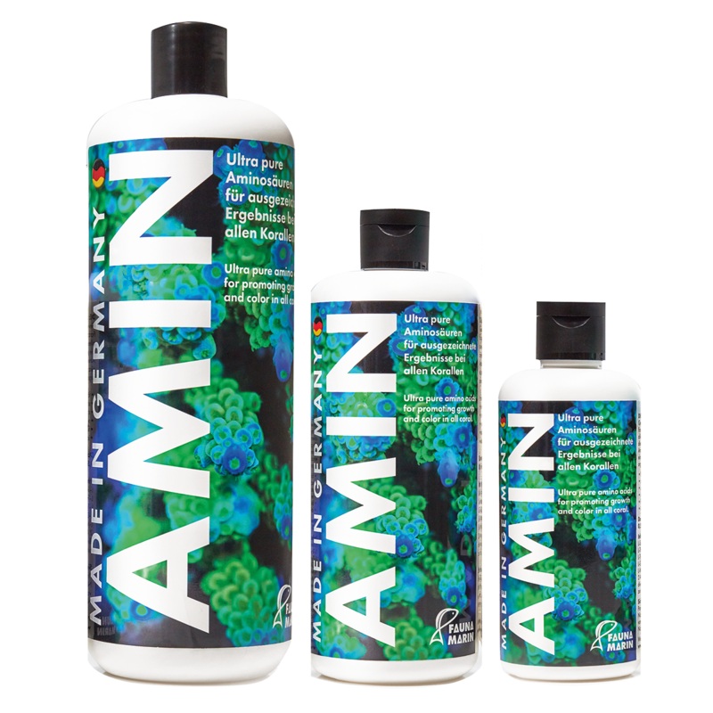 Fauna Marin - Amin