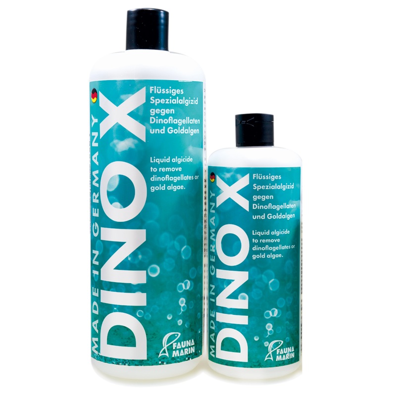 Fauna Marin - Dino X