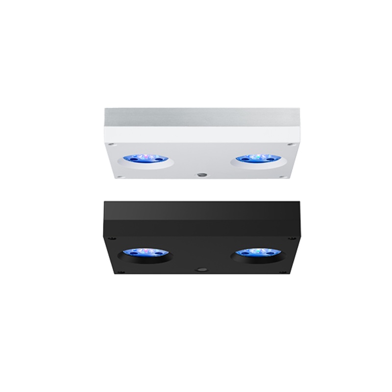 AI - Hydra 32 HD