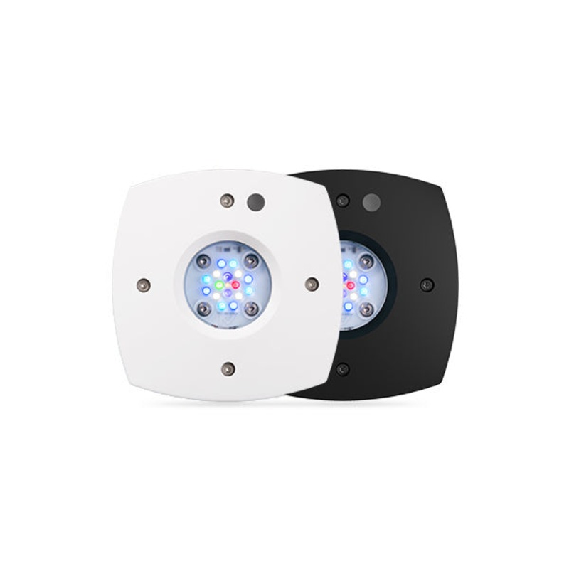 AI - Prime 16HD Reef / Black