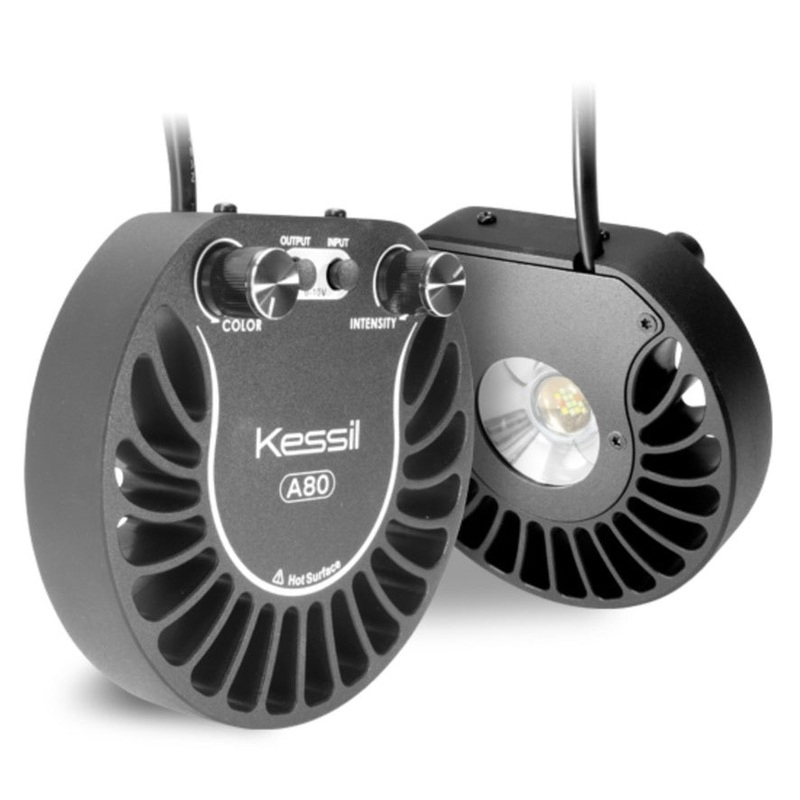 Kessil - A80 Tuna Sun