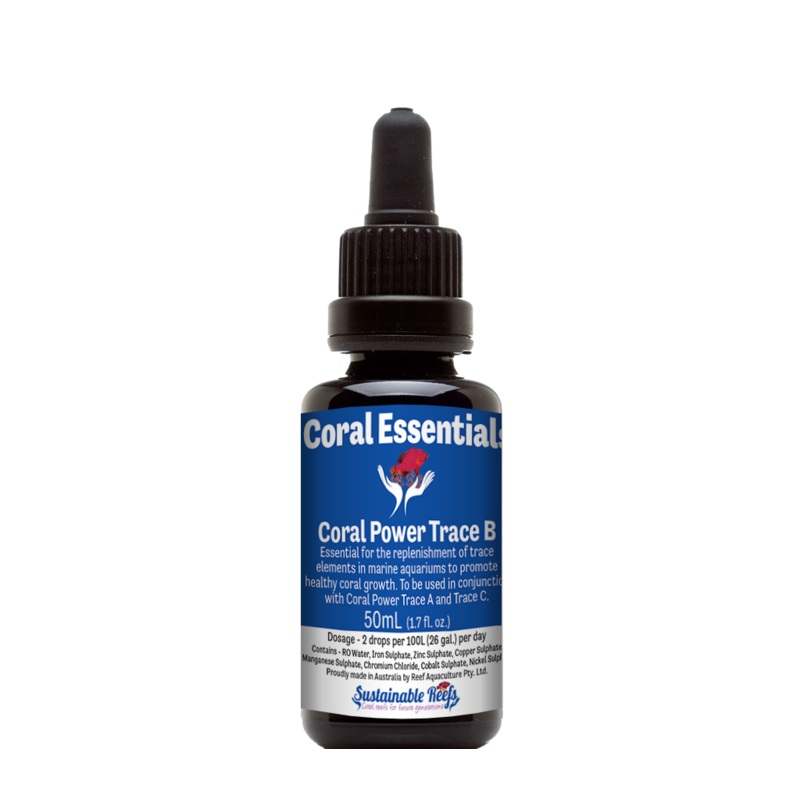 Coral Essentials - Coral Power Trace B