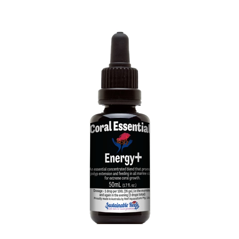 Coral Essentials - Energy+