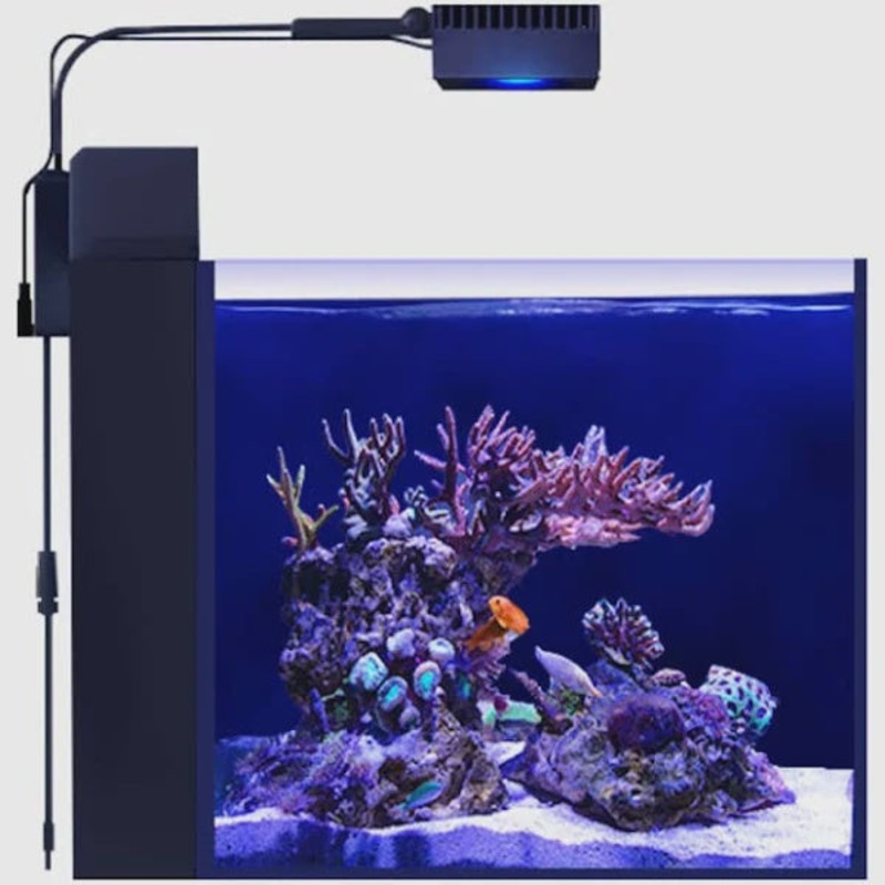 Red Sea - Max Nano Peninsula