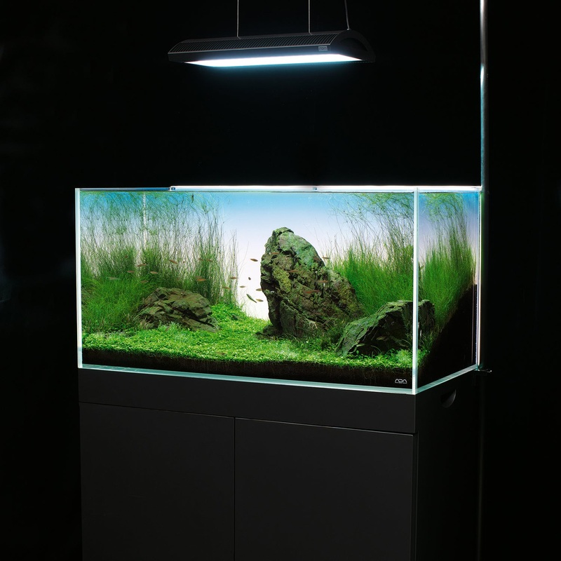 ADA LIGHT SCREEN