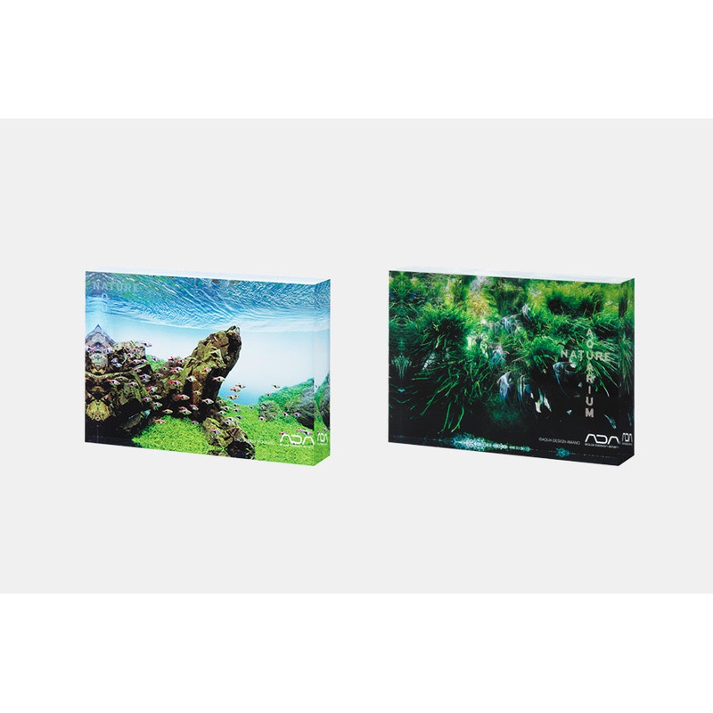 ADA NA ACRYLIC PHOTO BLOCK