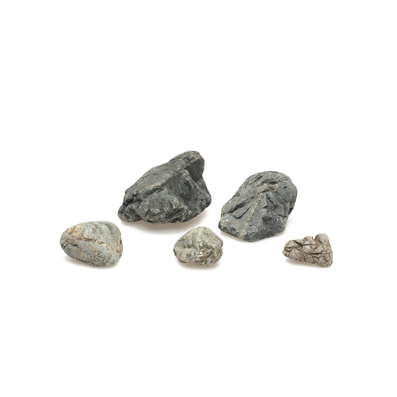 ADA Gatto Stone (New Arrivals)