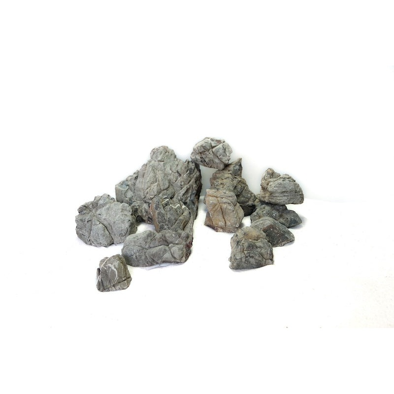 Blackish Lichen Stone
