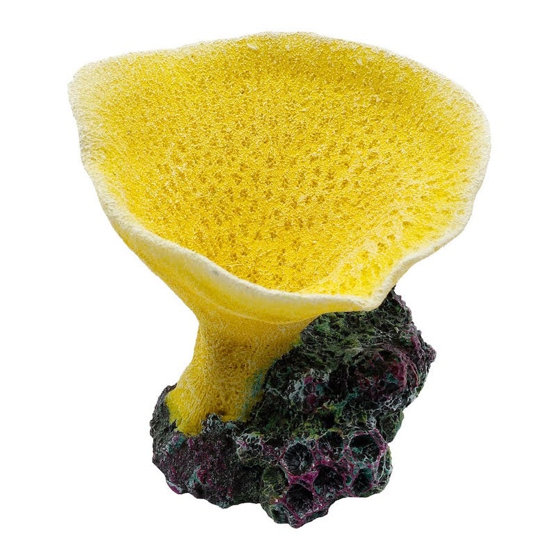 Elephant Ear Coral Yellow