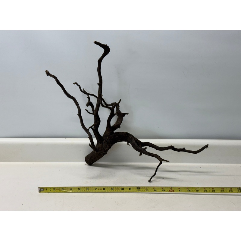 Forest Black Wood_011 (WYSIWYG) Free shipping!