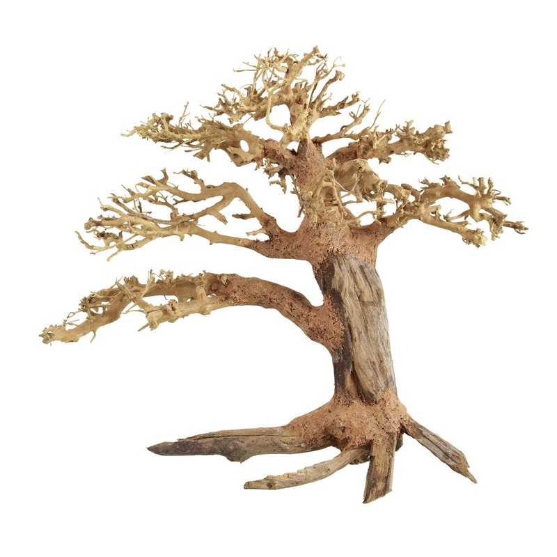 Underwater Treasures Bonsai Tree - Medium