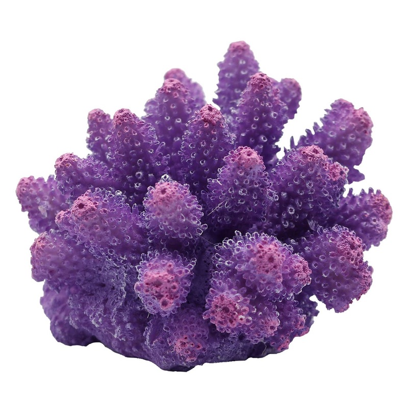 Underwater Treasures Cauliflower Coral Purple
