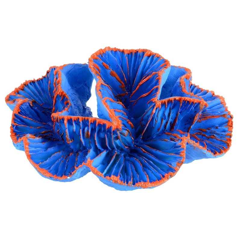 Underwater Treasures Open Brain Coral - Blue