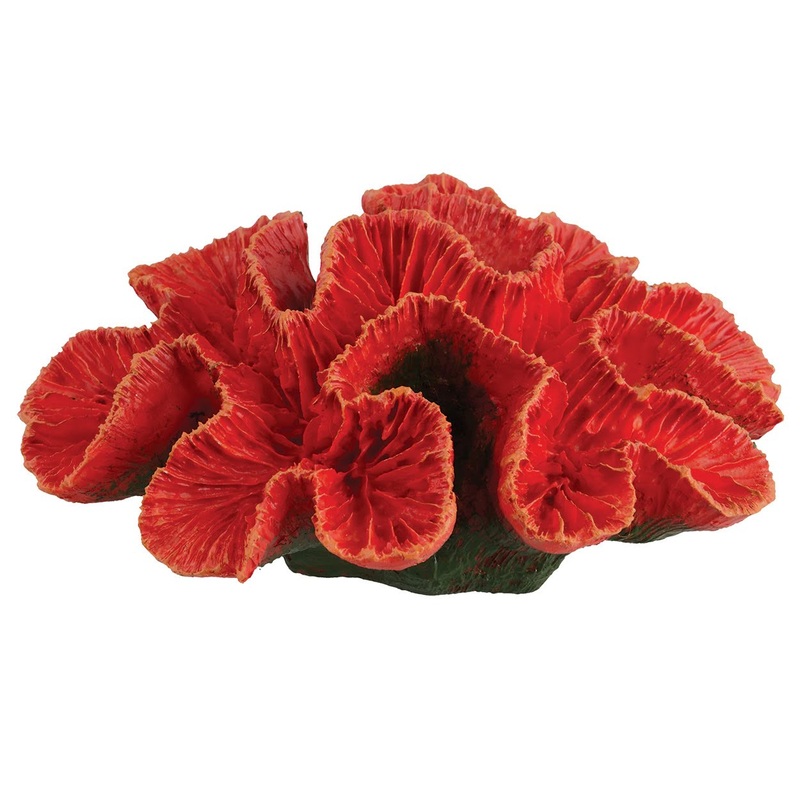 Underwater Treasures Pacific Rose Coral Red