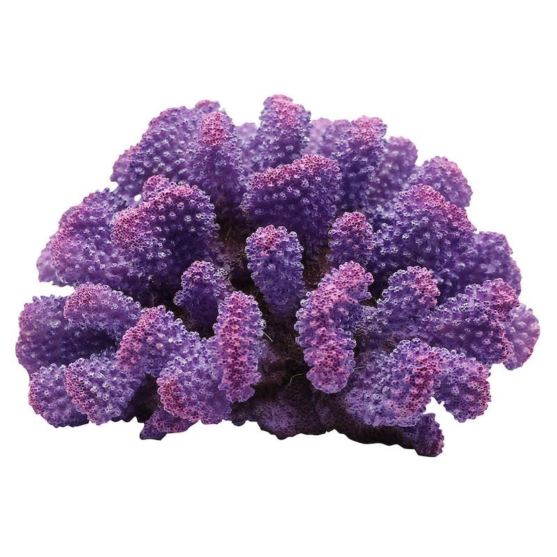 Underwater Treasures Toadstool Coral - Purple Prince