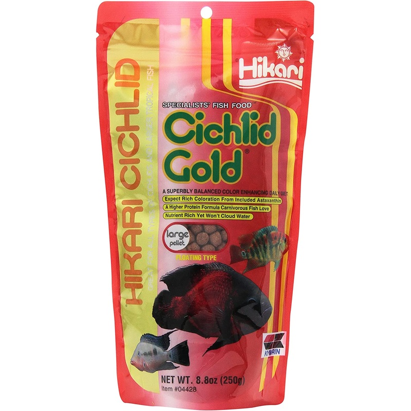 Hikari Cichlid Gold Large Floating Pellets - 8.8oz
