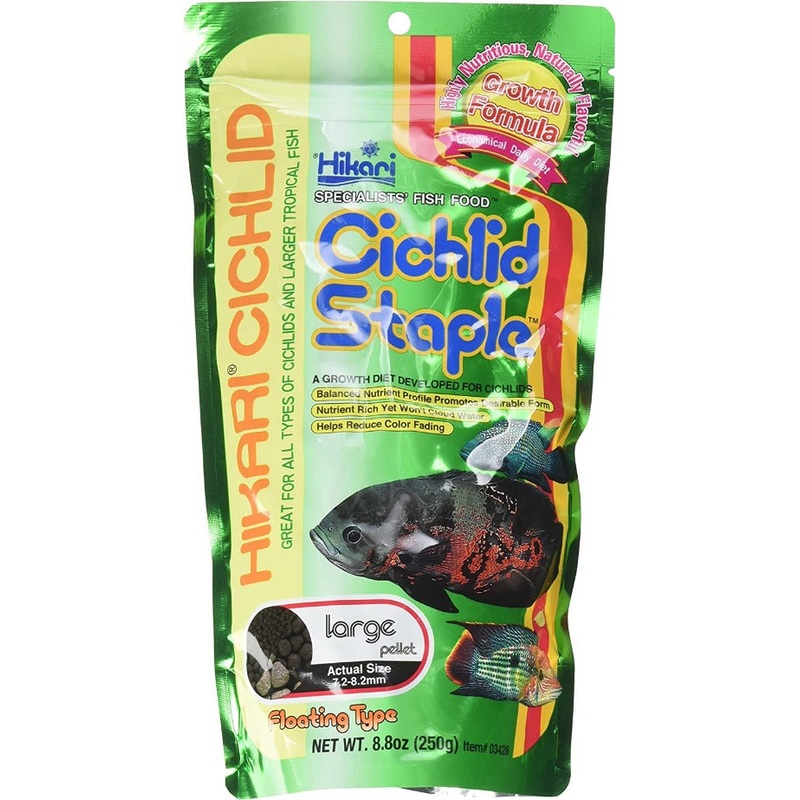 Hikari Cichlid Staple Large Floating Pellets 8.8oz