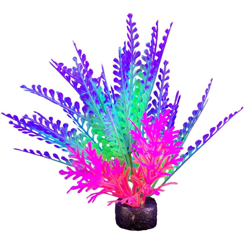 Marina iGlo Plant - 5.5"