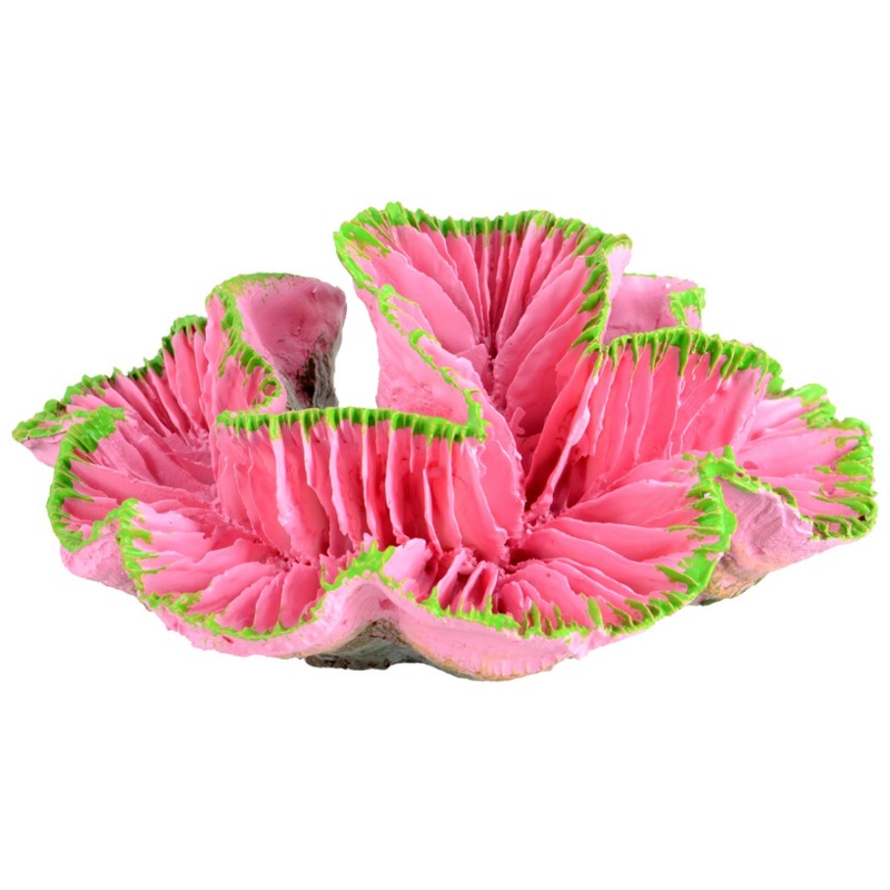 Underwater Treasures Brain Coral - Pink