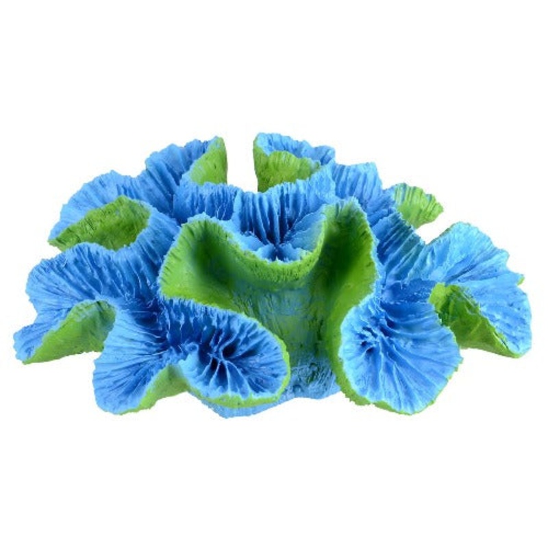 Underwater Treasures Open Brain Coral - Teal