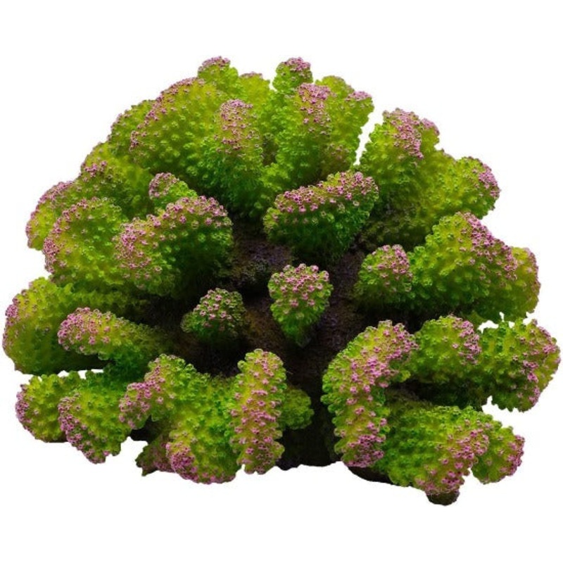 Underwater Treasures Toadstool Coral - Envy