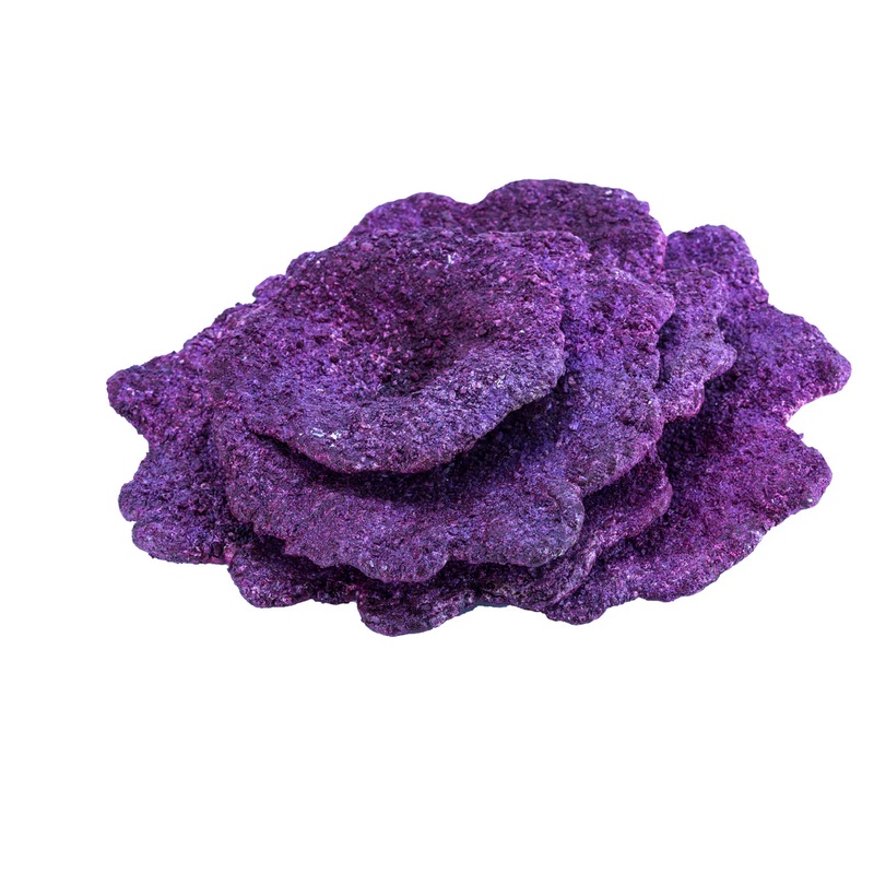 Real Reef Plate Coral Large plate