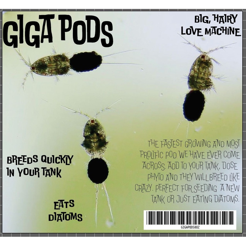 Giga Pods 8oz