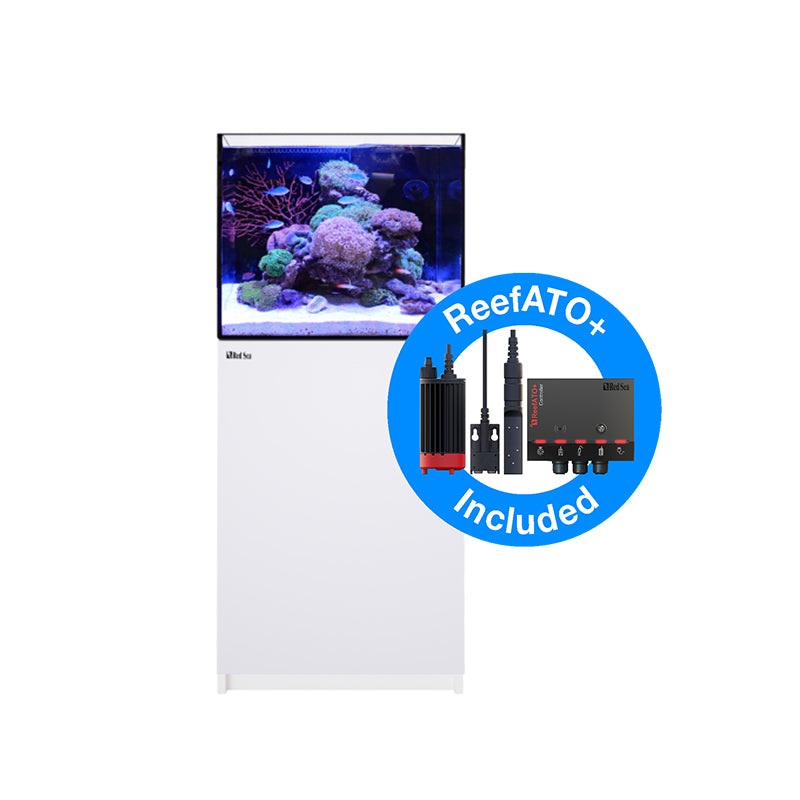 Red Sea Reefer G2+ 170 - White