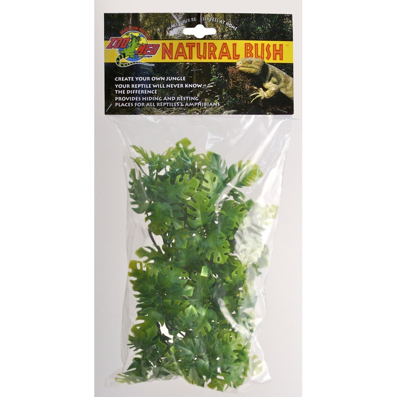 Zoo Med Natural Bush Plants  Amazonian Phyllo