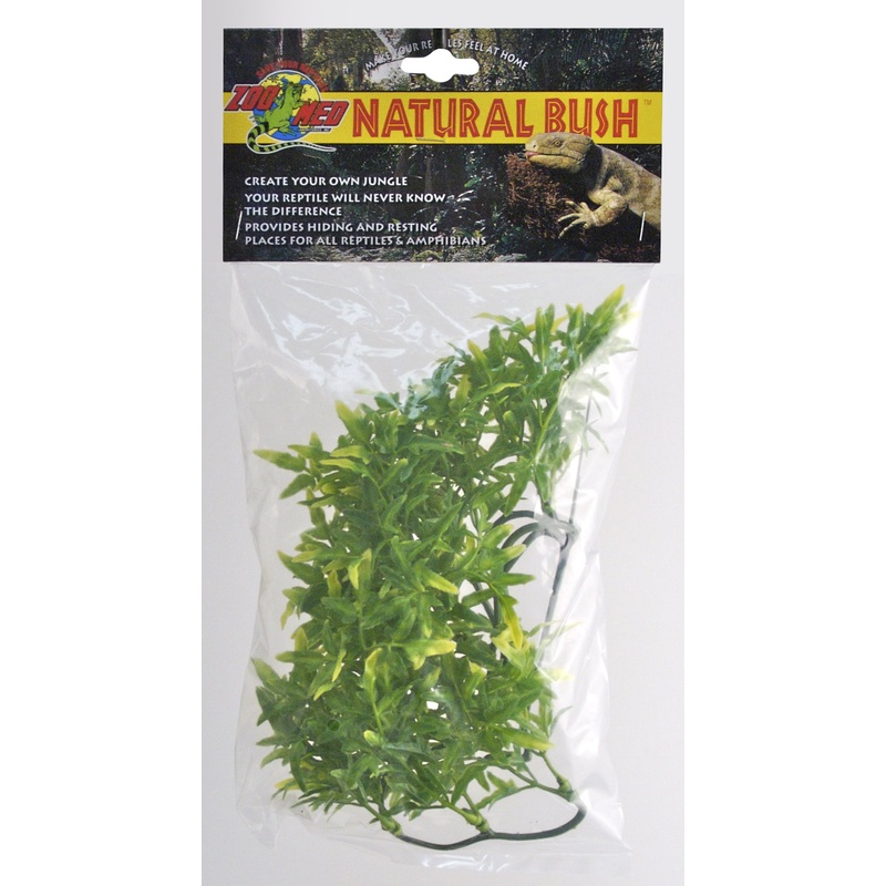 Zoo Med Natural Bush Plants  Bolivian Croton