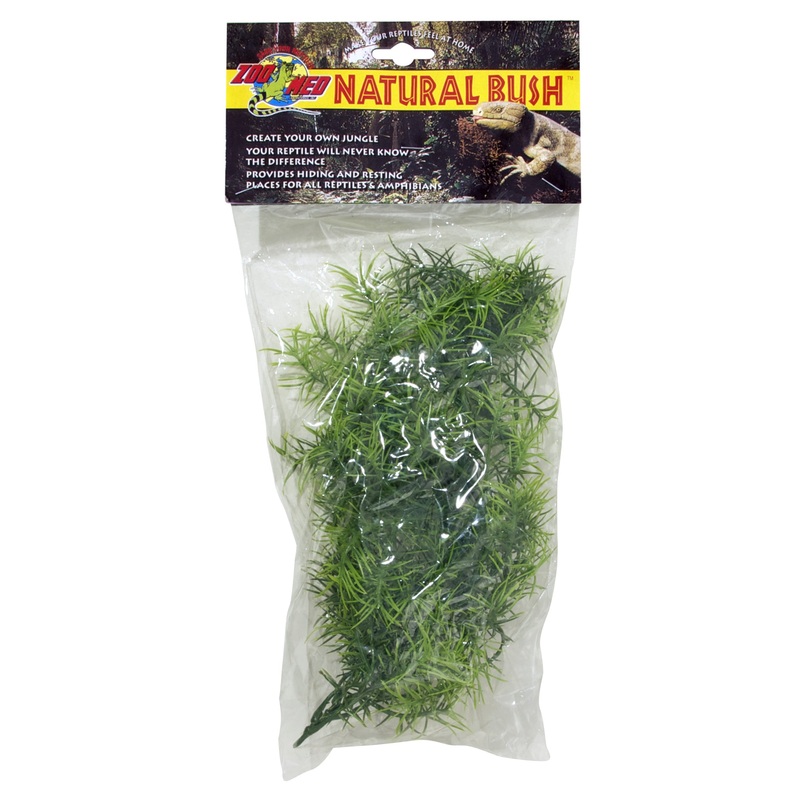 Zoo Med Natural Bush Plants  Cashuarina