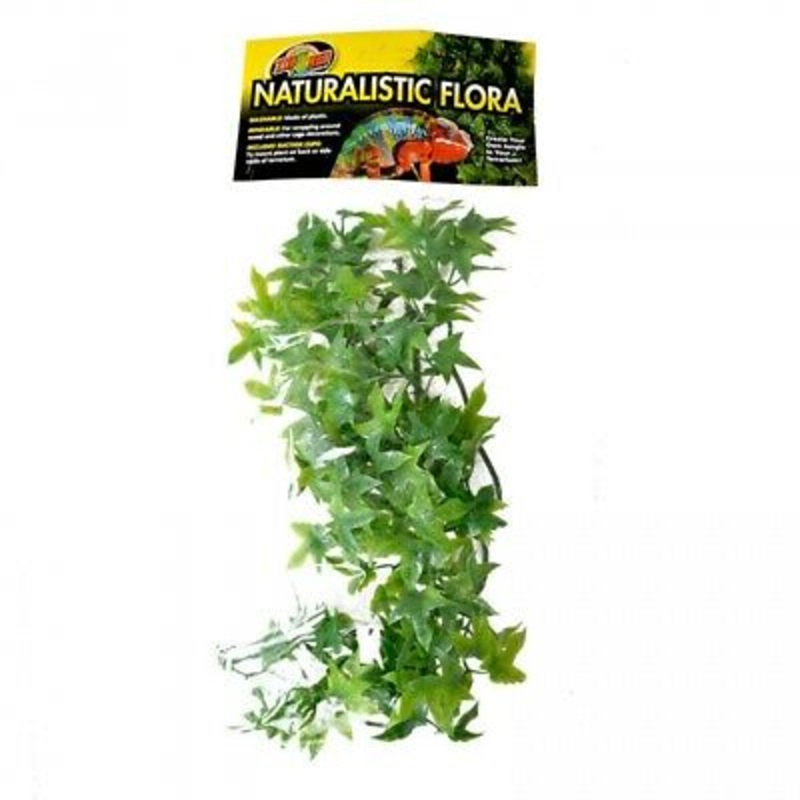 Zoo Med Natural Bush Plants  Congo Ivy