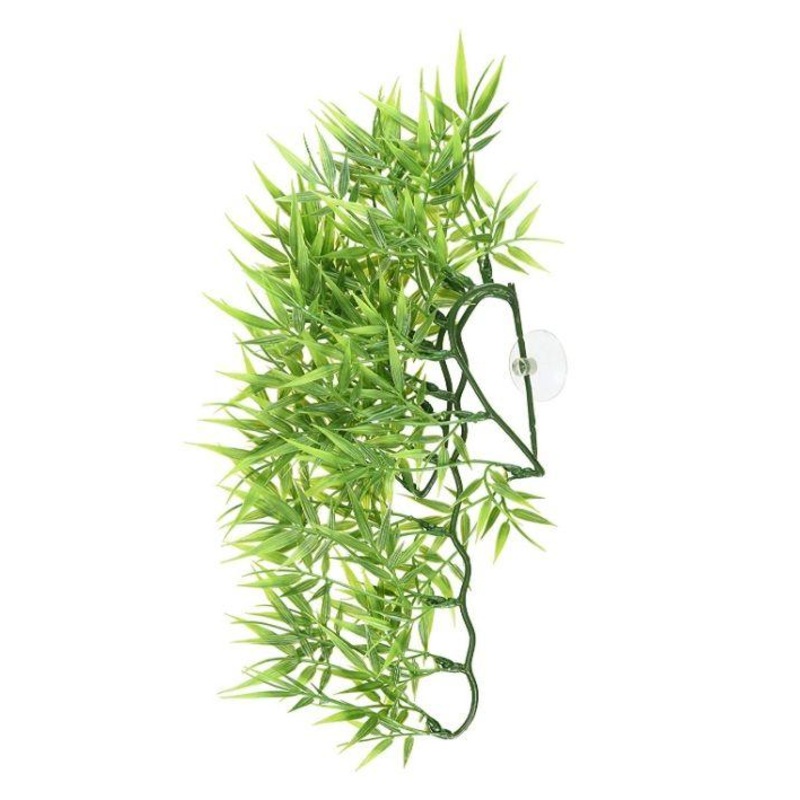 Zoo Med Natural Bush Plants Madagascar Bamboo