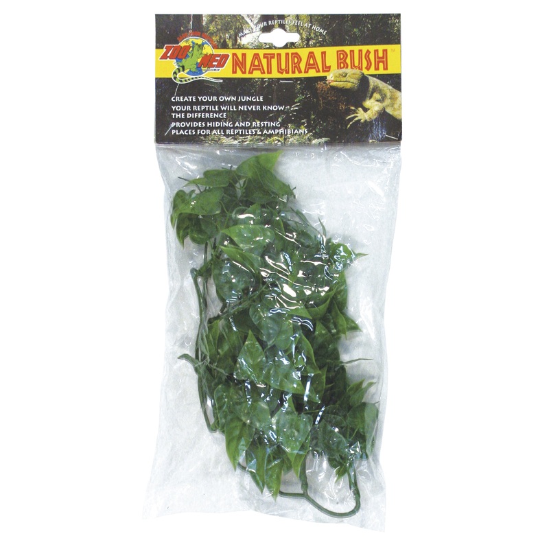 Zoo Med Natural Bush Plants  Mexican Phyllo