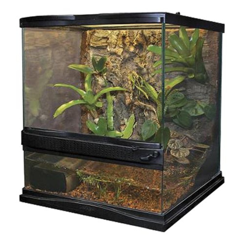 Zoo Med Naturalistic Terrarium