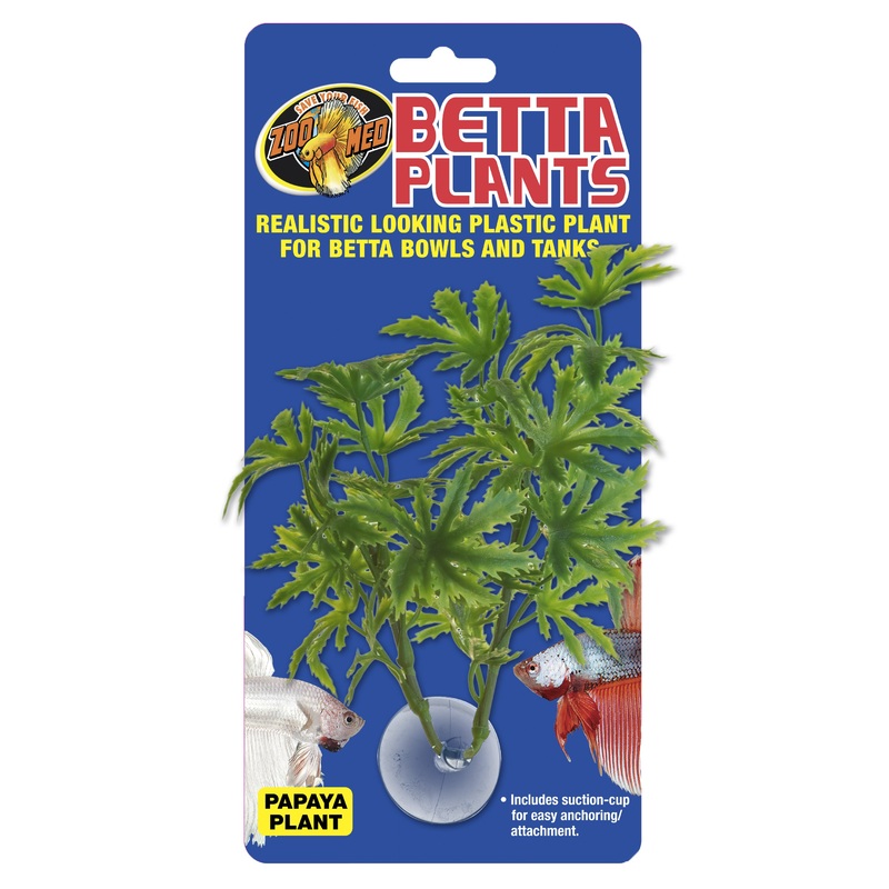 Zoo Med  Betta Plants Papaya