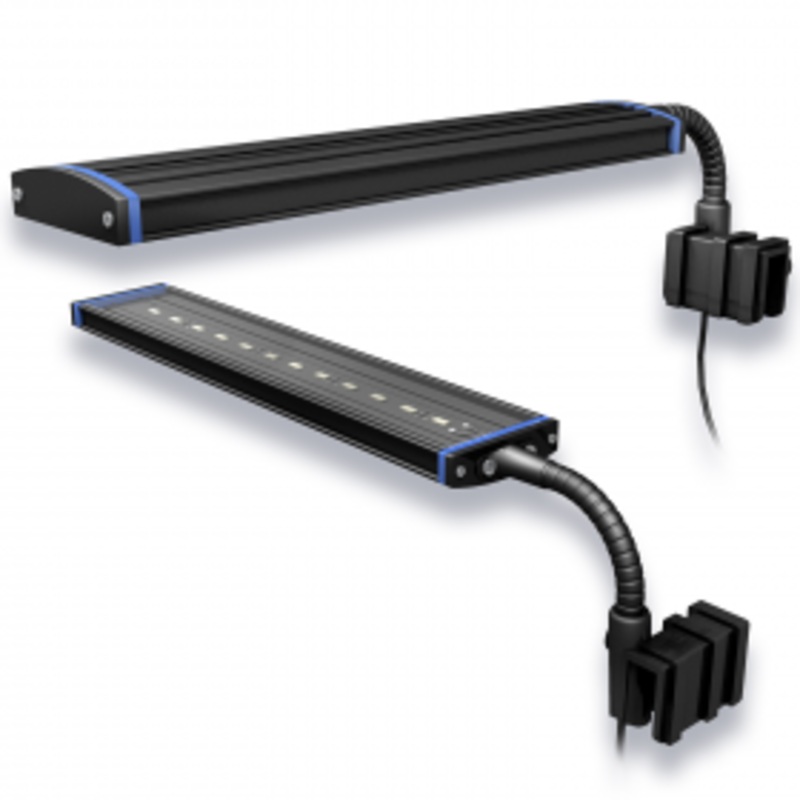 AquaticLife Reno Clamp Lamp LED 9 IN 6W - Blue/White