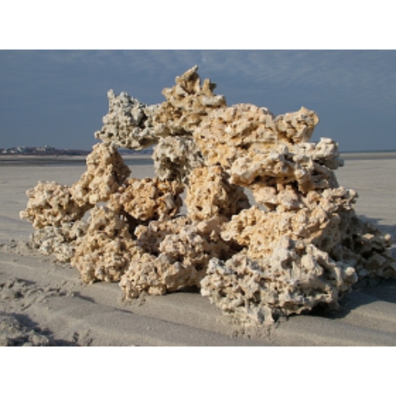 Marco Rocks Key Largo Premium 40lb Box