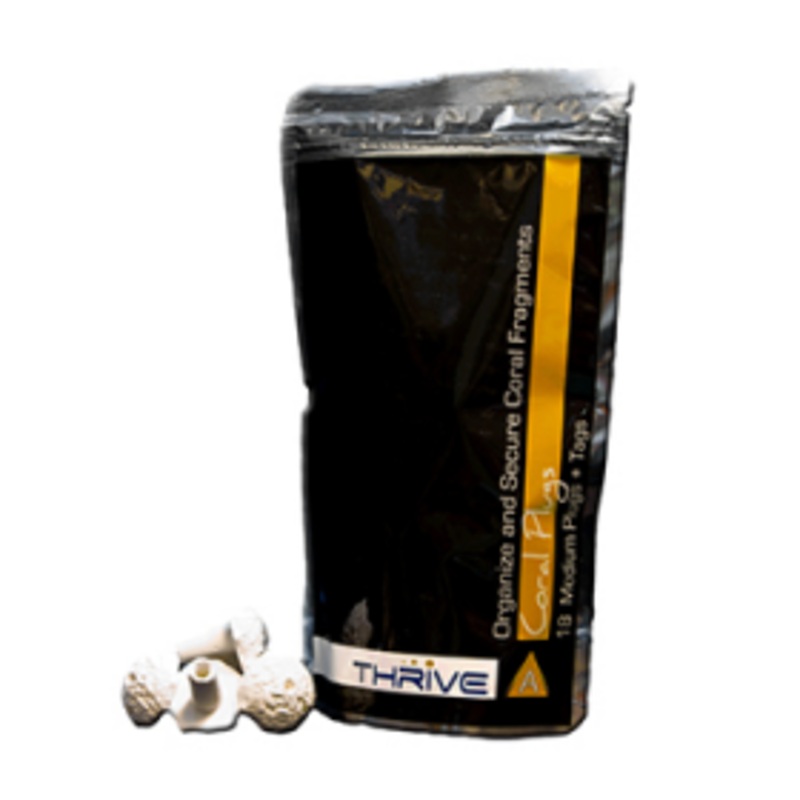 Thrive A Frag Plugs Large 15 Plugs