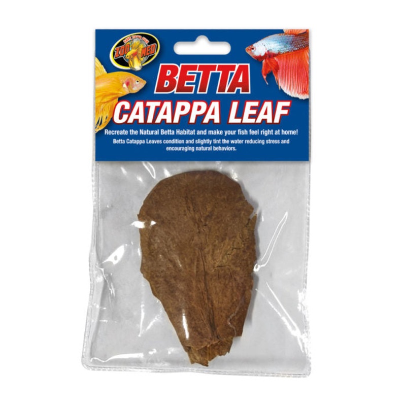 Betta Catappa Leaf