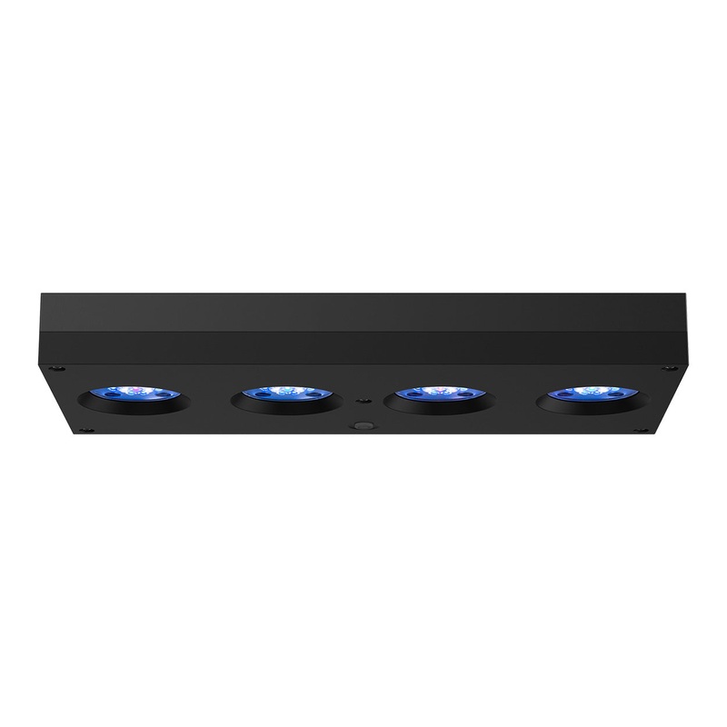 Hydra 64HD Lighting System
