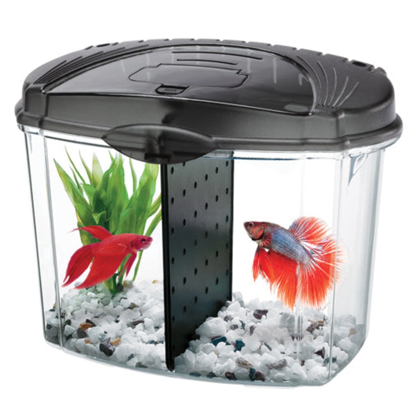 Betta Bowl Aquarium Kit - Black - 0.5 gal