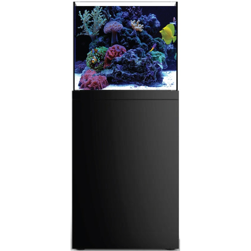 Prostar Rimless Aquarium - 60 gal - Black