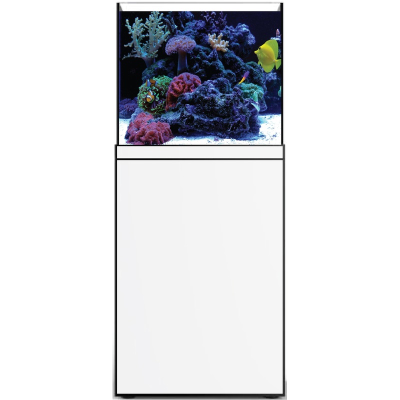 Prostar Rimless Aquarium - 60 gal - White