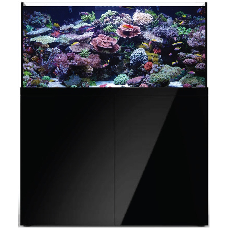 Prostar Rimless Aquarium - 90 gal - Black