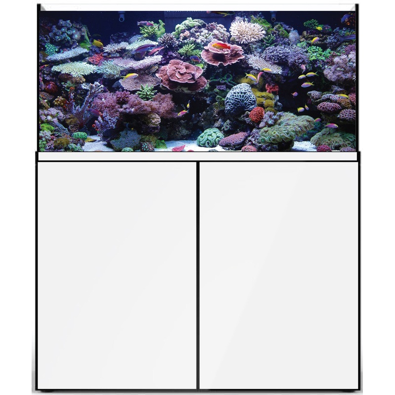 Prostar Rimless Aquarium - 90 gal - White