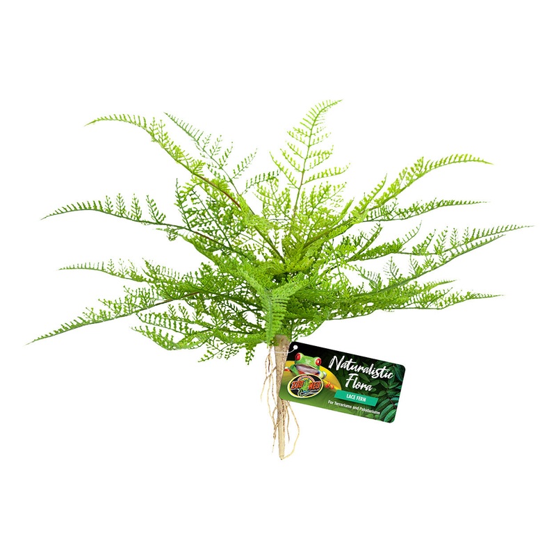 Zoo Med Naturalistic Flora - Lace Fern