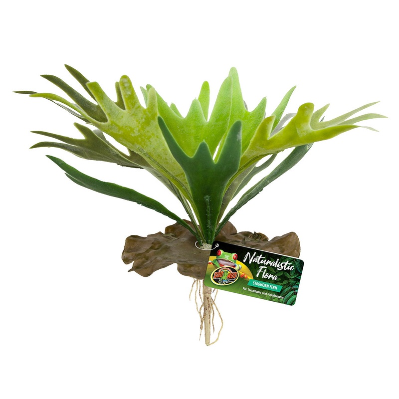Zoo Med Naturalistic Flora - Staghorn Fern