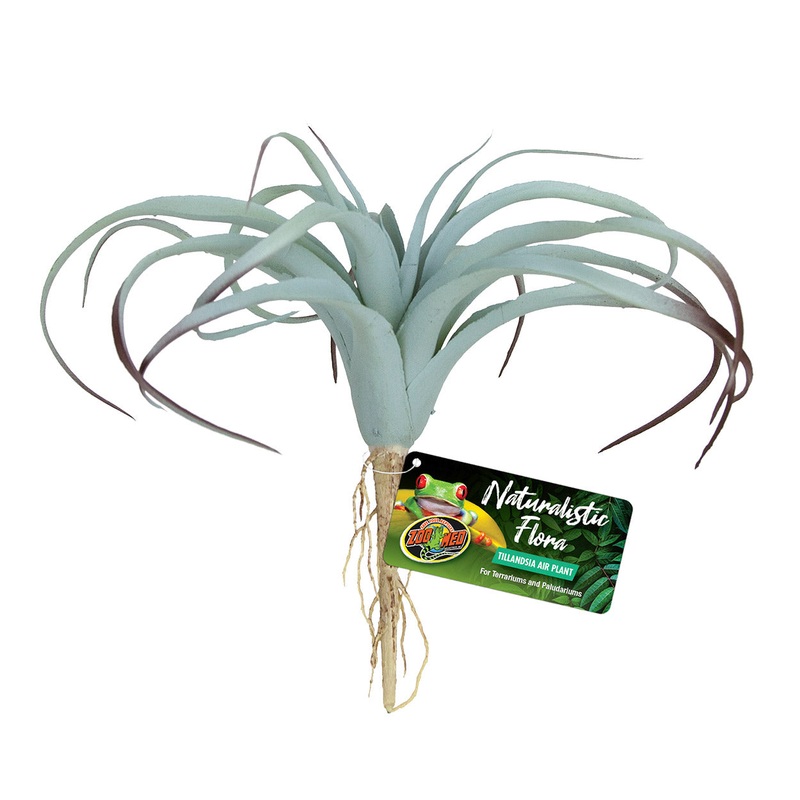Zoo Med Naturalistic Flora - Tillandsia Air Plant